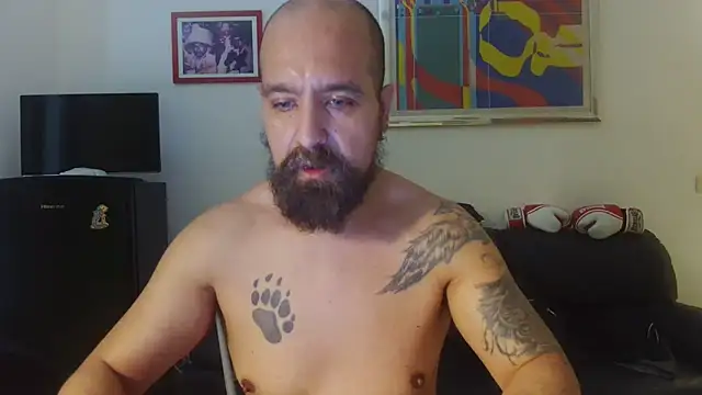 Snapshot of AMIRDIB2025 chatting on 16, 6, 2026 AMIRDIB2025 online show from 16, 6, 2026