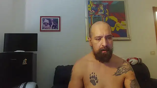 Snapshot of AMIRDIB2025 chatting on 17, 6, 2026 AMIRDIB2025 online show from 17, 6, 2026