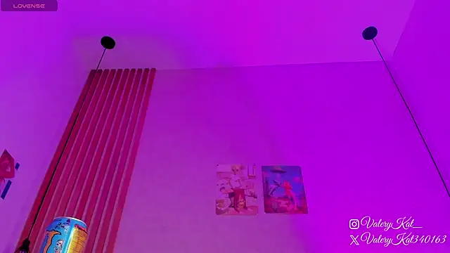 Valerykat  online show from 13, 2, 2026