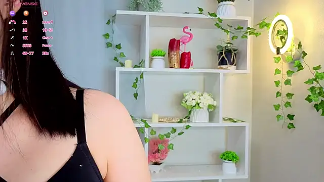 JudeSteuart online show from 7, 3, 2026