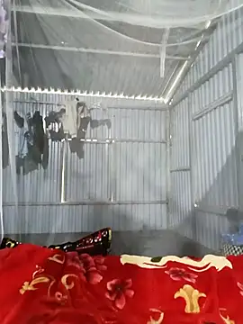 Evelyn-n online show from 8, 3, 2026