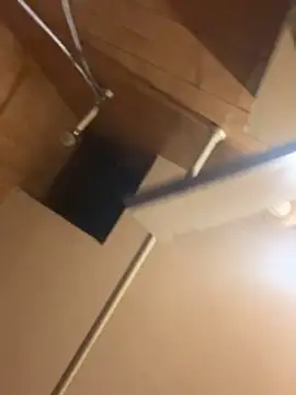 Petebulimia online show from 22, 2, 2026