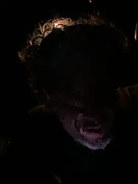 Petebulimia online show from 13, 3, 2026