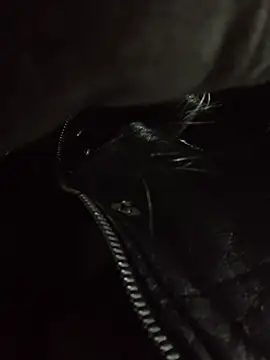 Snapshot of Katia-LS chatting on 30, 11, 2025 Katia-LS online show from 30, 11, 2025