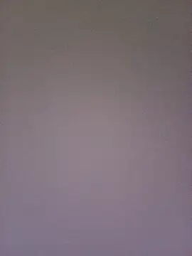 gatitachula93 online show from 10, 2, 2026