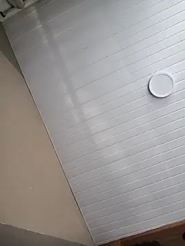 seunamoradinho7 online show from 1, 12, 2025