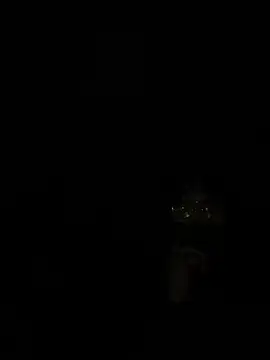 ValuedConcept687 online show from 3, 2, 2026