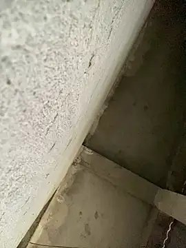 Lilik2 online show from 15, 1, 2026