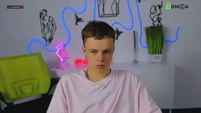 veldi to online show from 27, 2, 2026