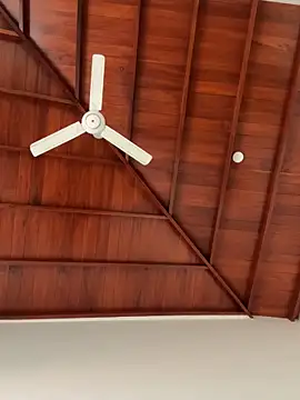 Dahan99346 online show from 18, 12, 2025