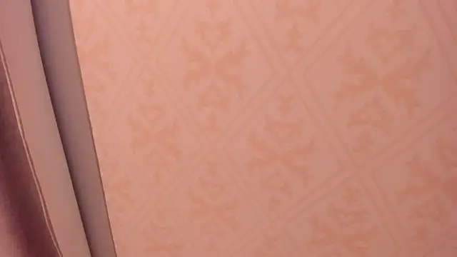 Miss dare online show from 19, 2, 2026