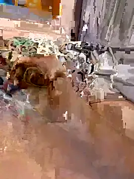 en93000 online show from 7, 4, 2026