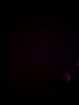 Snapshot of ninasex1995 chatting on 1, 12, 2025 ninasex1995 online show from 1, 12, 2025