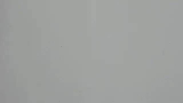 Ladymadinght online show from 4, 2, 2026