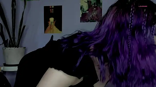 blueberry       online show from 23, 7, 2026