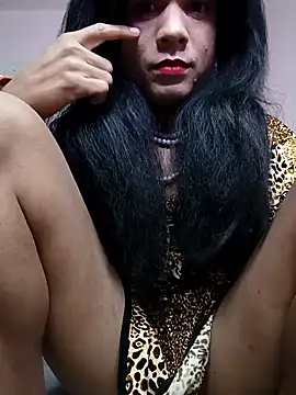 Lovely Ladyboy star online show from 7, 1, 2026