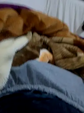 KF hway online show from 10, 3, 2026