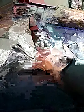 yacinekabiley16 online show from 13, 2, 2026