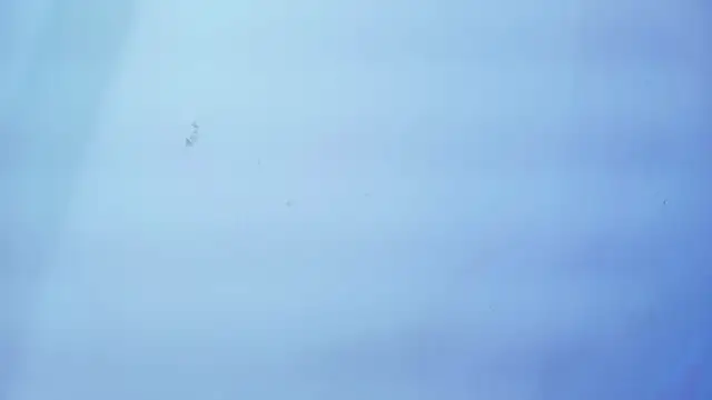 Nicole sounders online show from 19, 1, 2026