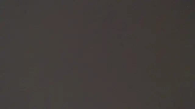 maxI dick33 online show from 15, 4, 2026