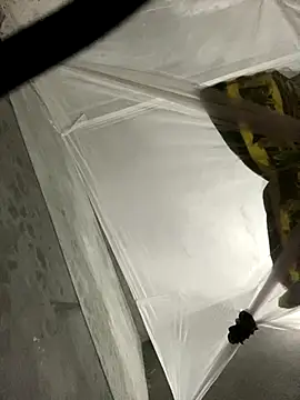 Wendy-babyy online show from 16, 12, 2025