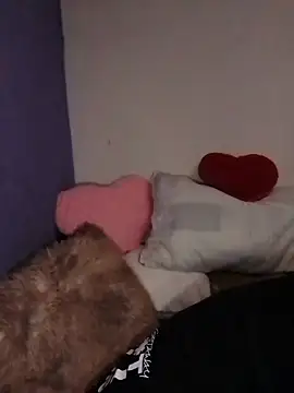 Honey bun06 online show from 18, 1, 2026