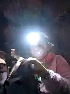 leto616 online show from 11, 2, 2026