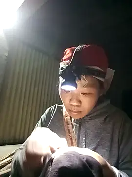 leto616 online show from 26, 2, 2026