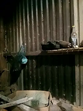 sary-hot2x online show from 7, 1, 2026