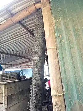 sary-hot2x online show from 1, 3, 2026