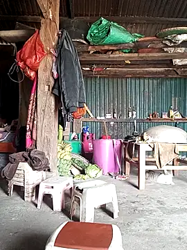 sary-hot2x online show from 2, 3, 2026