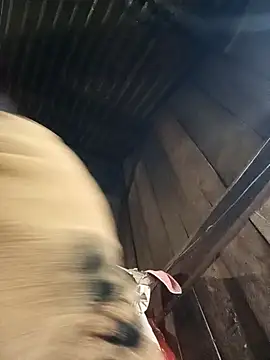 sary-hot2x online show from 9, 1, 2026