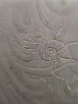 Rent your boyfriend online show from 8, 1, 2026