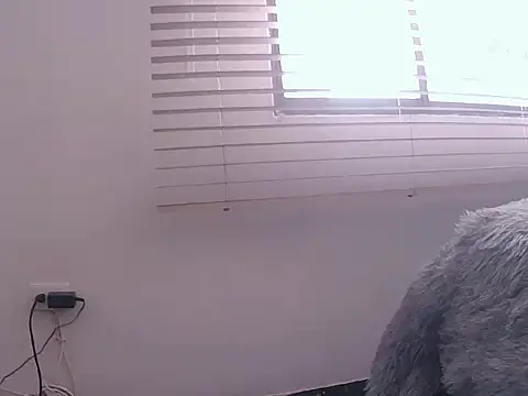 Fernanda andrew online show from 20, 3, 2026