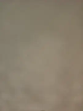 Bigkannan online show from 12, 1, 2026