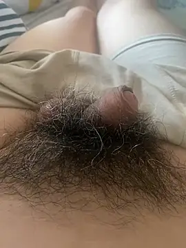 hairylittledic online show from 8, 7, 2026