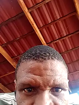 msindo online show from 9, 4, 2026