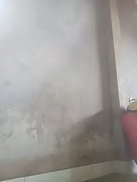 mon-monk online show from 20, 12, 2025