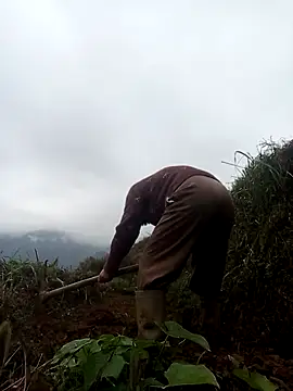 mon-monk online show from 17, 12, 2025