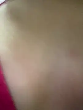 laysfregd2025 online show from 11, 3, 2026