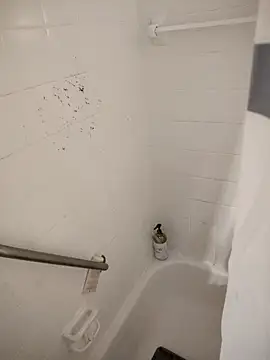 SpiderRose online show from 21, 2, 2026