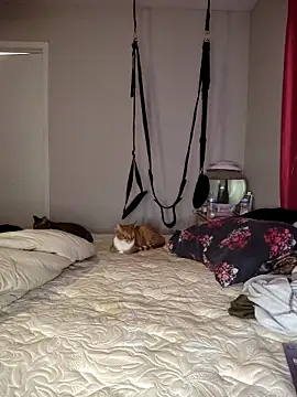 SpiderRose online show from 15, 12, 2025