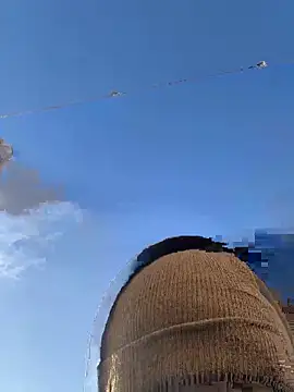 Big German cock974 online show from 21, 12, 2025