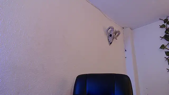 kingdani hot online show from 20, 12, 2025