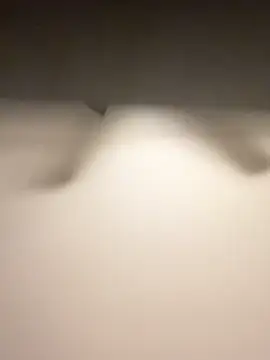 Lassie Cassie online show from 3, 2, 2026