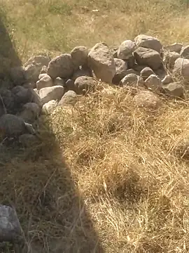 DanielGr27 online show from 20, 12, 2025