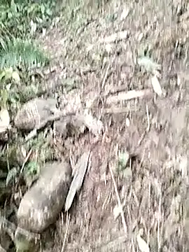 neko-nancy online show from 14, 1, 2026