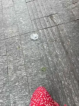 qwe522522 online show from 16, 4, 2026