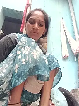 Chayna singh online show from 24, 7, 2026