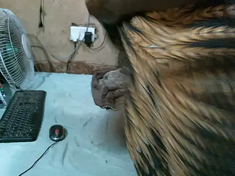 SEXY-NAIMA online show from 23, 4, 2026